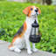  Statue de jardin Beagle avec lanterne solaire à DEL, statue de chien, décor animal en résine pour patio, pelouse et espaces extérieurs