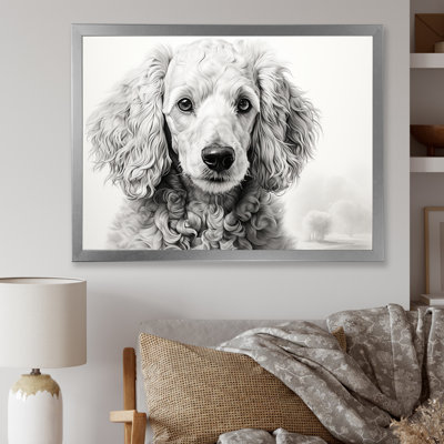 " Poodle Pizazz "