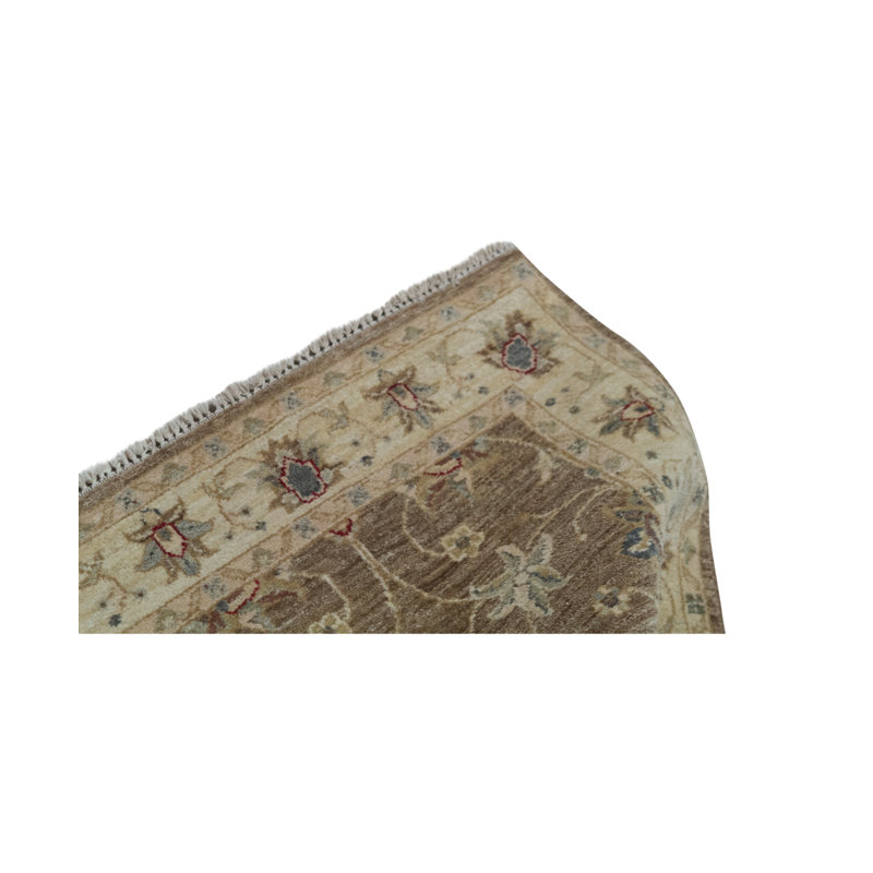 Oriental Area Rug in Brown