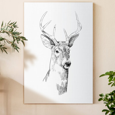 «Young Buck S croquis I», reproduction sur toile tendue