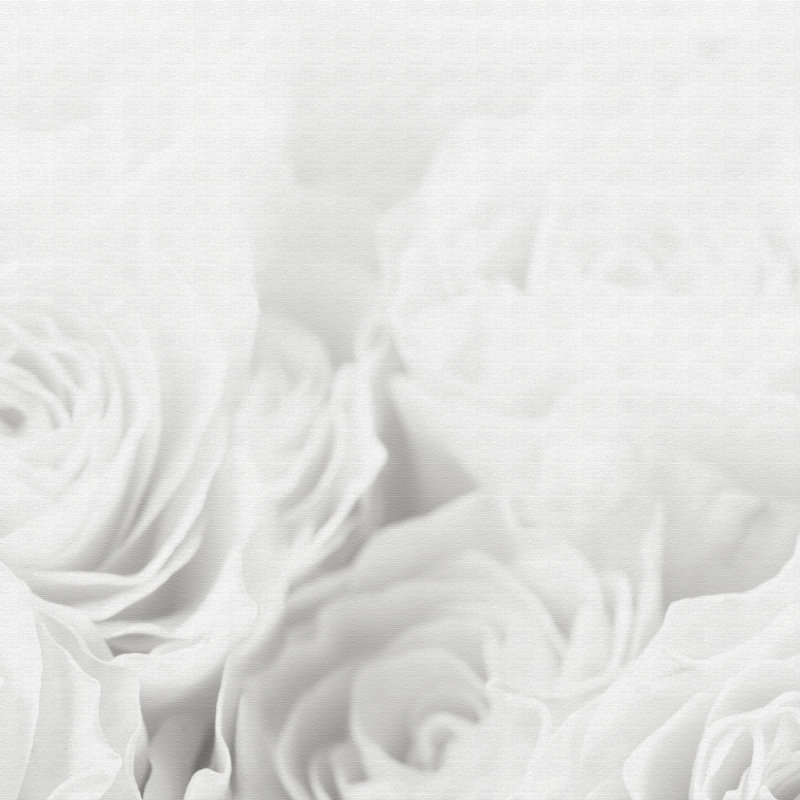 Print on Canvas, 100cm H x 150cm W x 4cm D