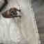 Photos des clients 2 de 5