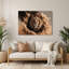 «Big Cats Transvaal Lion», art mural en métal noir-1699082068