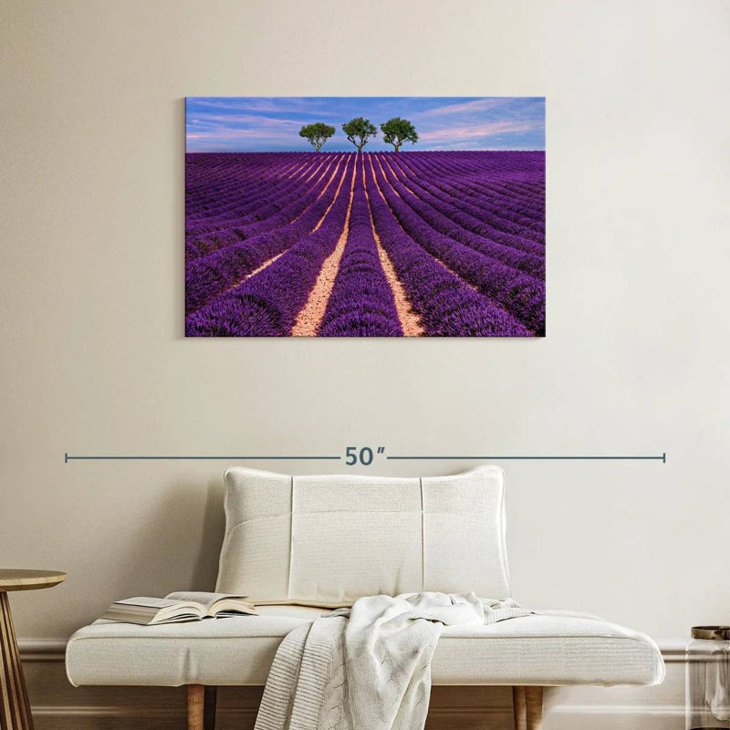 Rangées de lavande Alvord Provence Summer, H 24 po x l 36 po