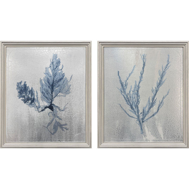 Oceanic Curiosity I Framed Art