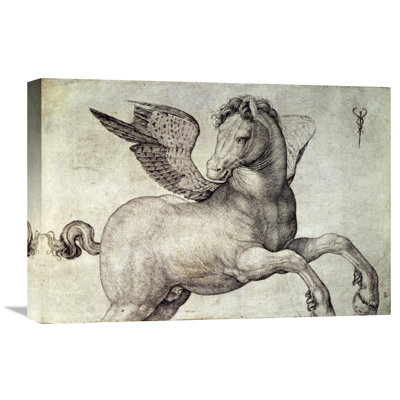 " Pegasus " by Jacopo De Barbari