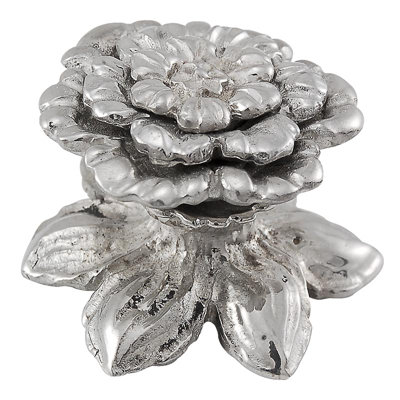 Carlotta Novelty Knob