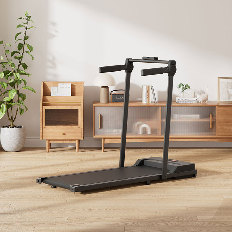 Steel, PP Sports Rack