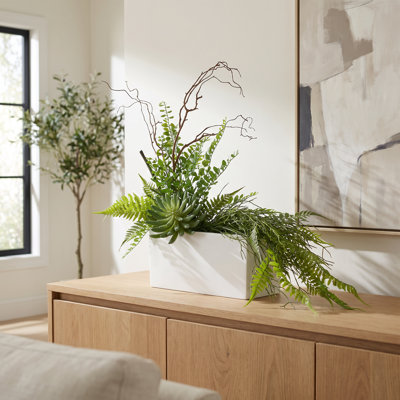Mountain Fern, Locust Leaf and Succulent Arrangement