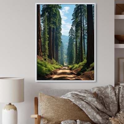 " USA Sequoia And Kings Canyon Forest "