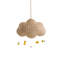1 - Light Natural Novelty Pendant