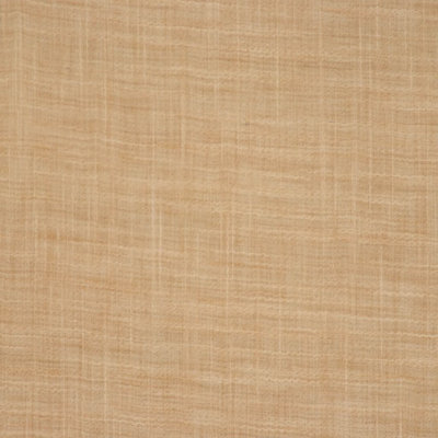Latitude Fabric