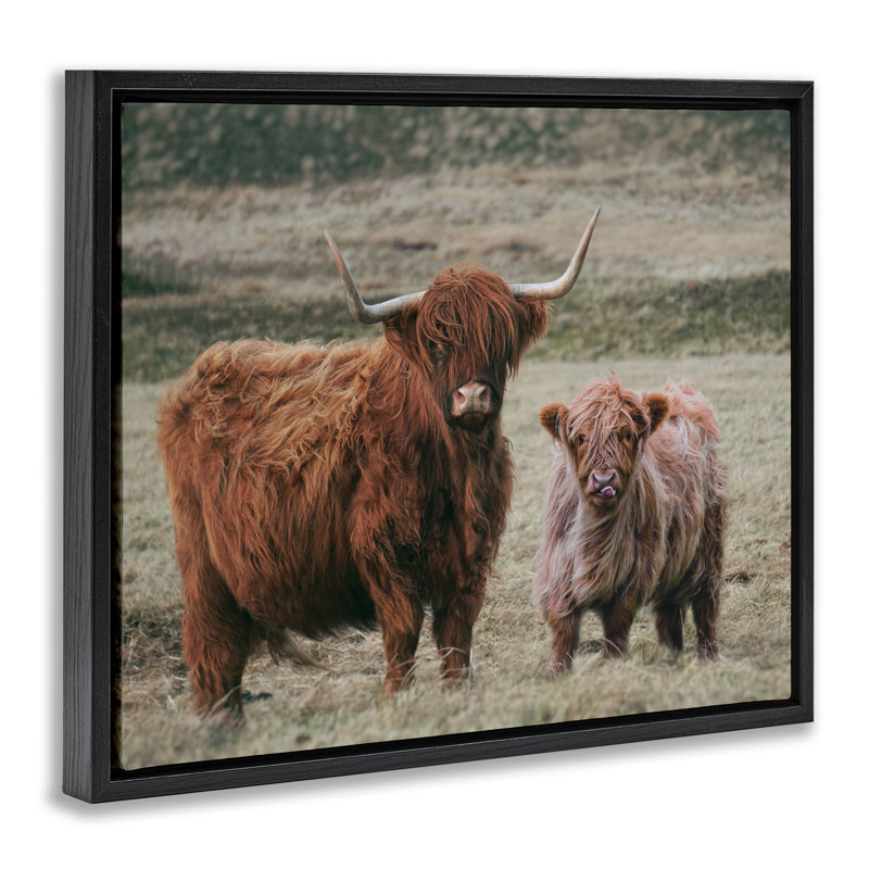 Cadre flottant maman et bébé vache, design par lettré et doublé, Cadre flottant noir de jais, H 17 po x l 21 po