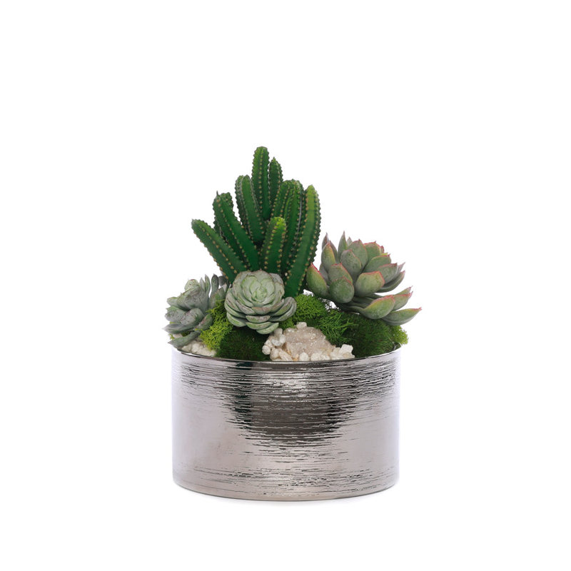 Faux Succulent in Pot