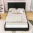 Upholstered Platform Bed with Built-in Bluetooth Speakers and RGB LED Light-1412637439-1412637436