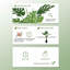 Plante artificielle 48 "Monstera-1809685258