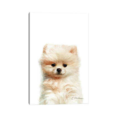 Pomeranian Puppy by Watercolor Luv - Wrapped Canvas Painting