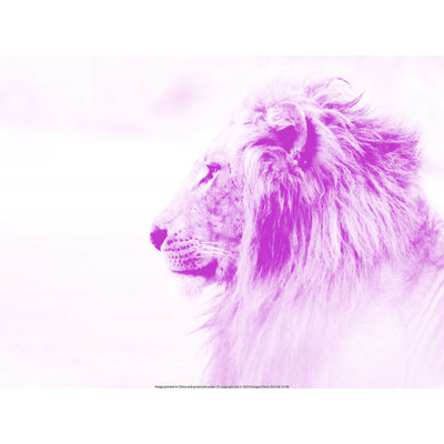Lion rose