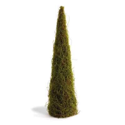 Topiaire Mossy Cone H 33 po
