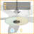 Striker 56'' Ceiling Fan with LED Lights