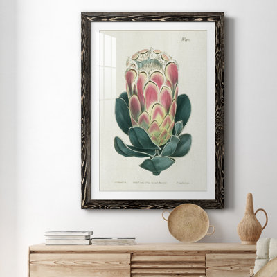 Protea N83 - Peinture encadrée