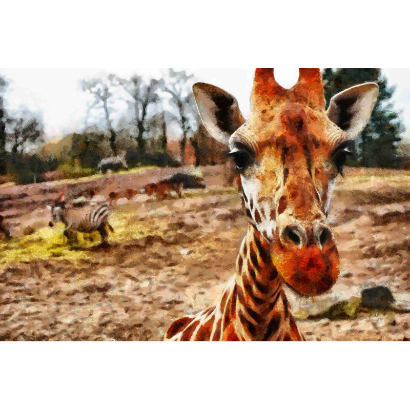 «Painted Giraffe and Zebra» - Photographie sur toile tendue, H 8 po x l 12 po