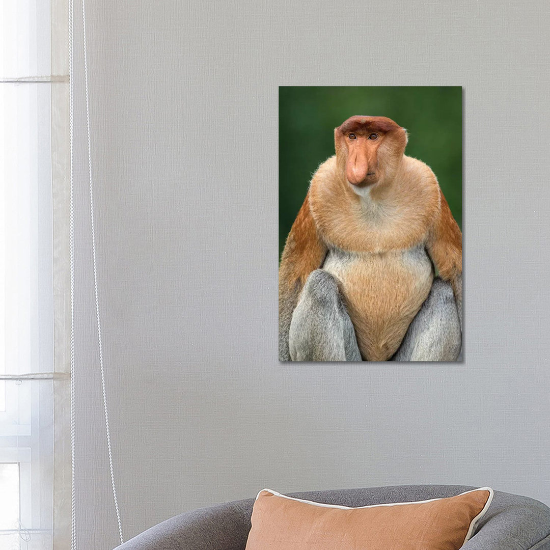 Proboscis Monkey Alpha Male Borneo by Mogens Trolle - Wrapped Canvas Print
