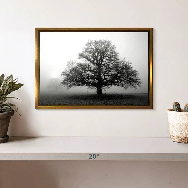Arbre dans la brume, Cadre flottant doré, 13 po x 9 po