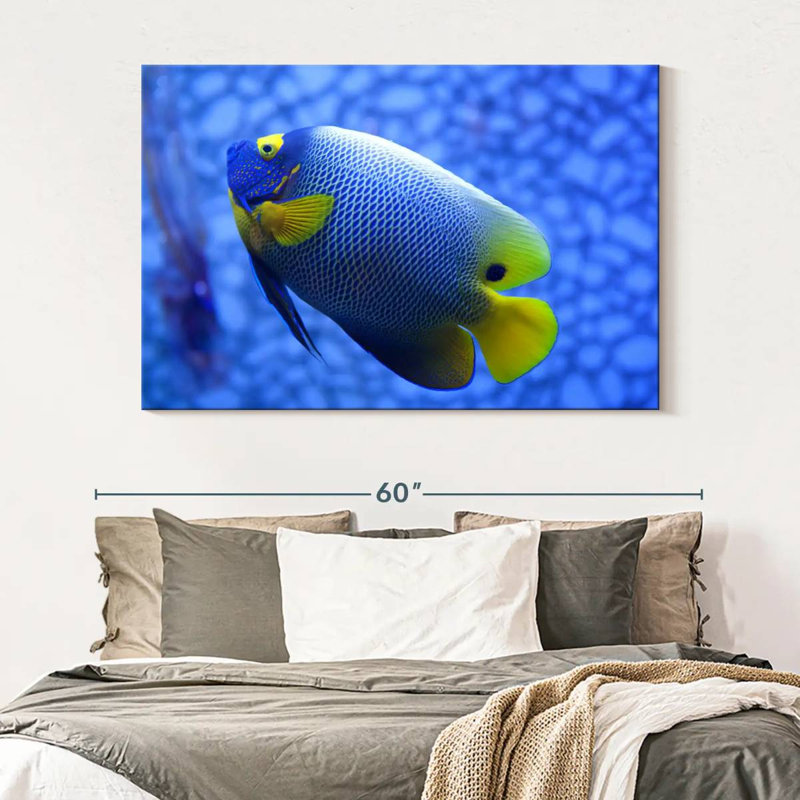 Brampt Coral Blue Angelfish, 34" H x 51" W