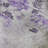 Premium Machine Washable Prisco Purple Rug-1878369924