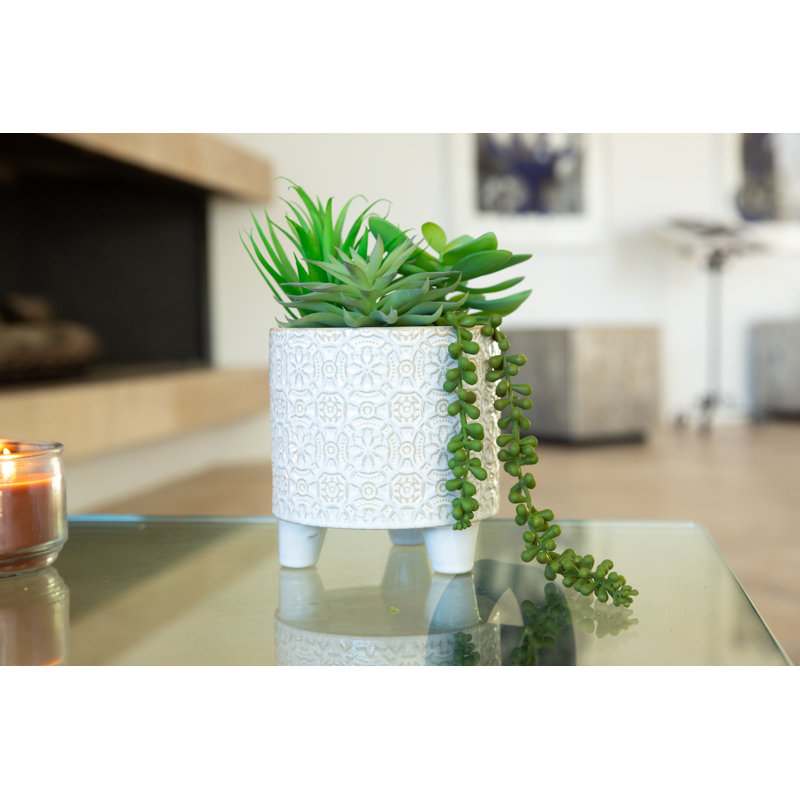 10.5'' Faux Succulent