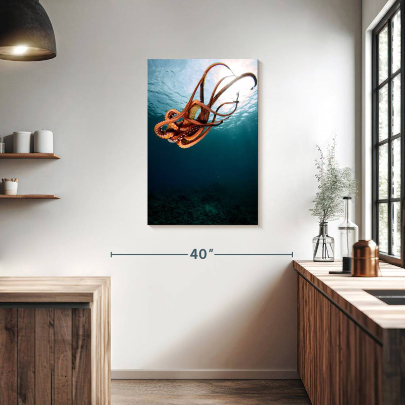 Brampt Diving Octopus, 36" H x 24" W