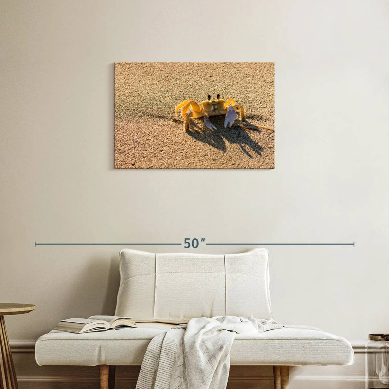 Brampt Crab On Beach, 20" H x 30" W