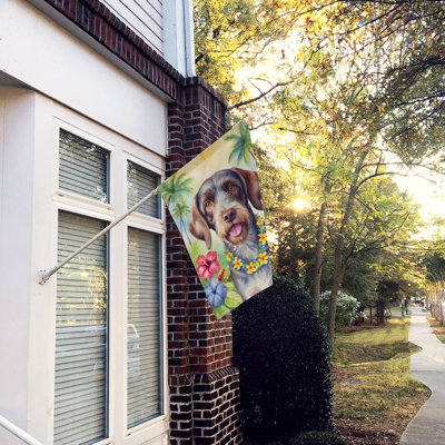 Double Sided 40'' H x 28'' W Polyester Animal House Flag