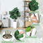 Faux Plant-992082305