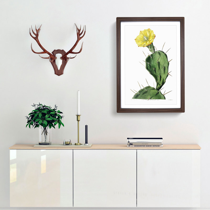 Flowering Prickly Pear Cactus - Framed Print, Walnut Framed, 36cm H x 27cm W x 2cm D