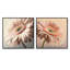 Gerbera rose - Collage de marguerites carrées-844890011-844890008