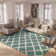 Arsheq Sgd-Dallas Shag Performance Geometric Rug