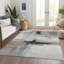 Chayden Machine Washable Indoor/Outdoor Area Rug ACN1097-100135520