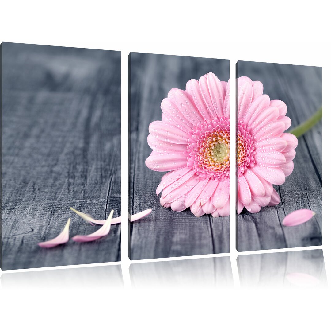 3-tlg. Leinwandbilder-Set Pinke Gerbera auf rustikalem Boden, Fotodruck