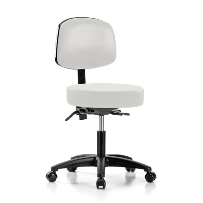 Channahon Backed Adjustable Backrest Adjustable Height Ergonomic Lab Stool with Removable Casters/Wheels