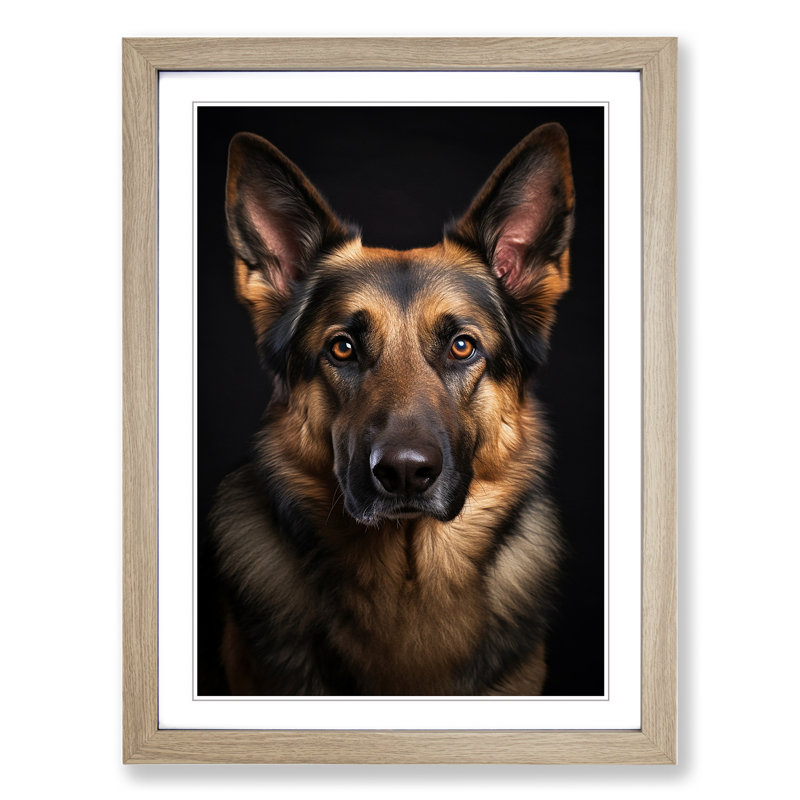 German Shepherd Classicism - Framed Print, 46cm H x 34cm W, Oak Framed
