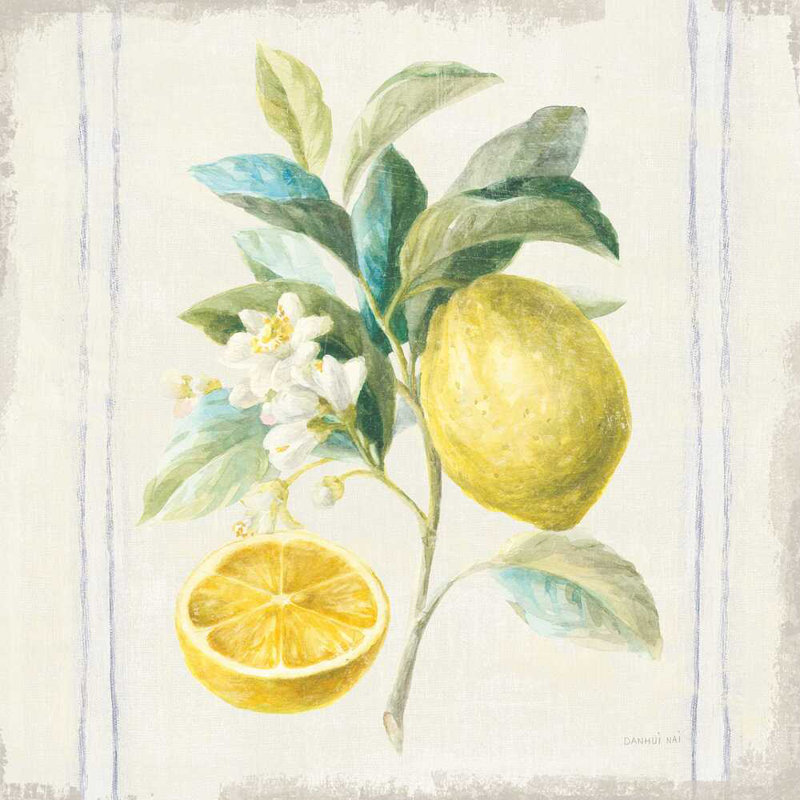 Floursack Lemons IV Sq - marine, H 12 po x l 12 po