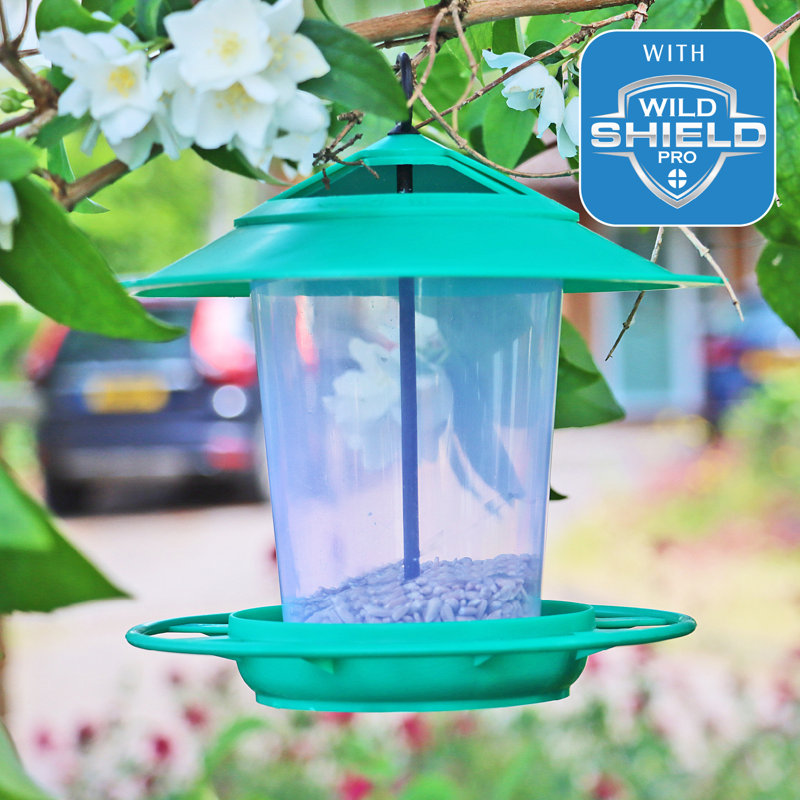 Katalina Hanging Tube Bird Feeder