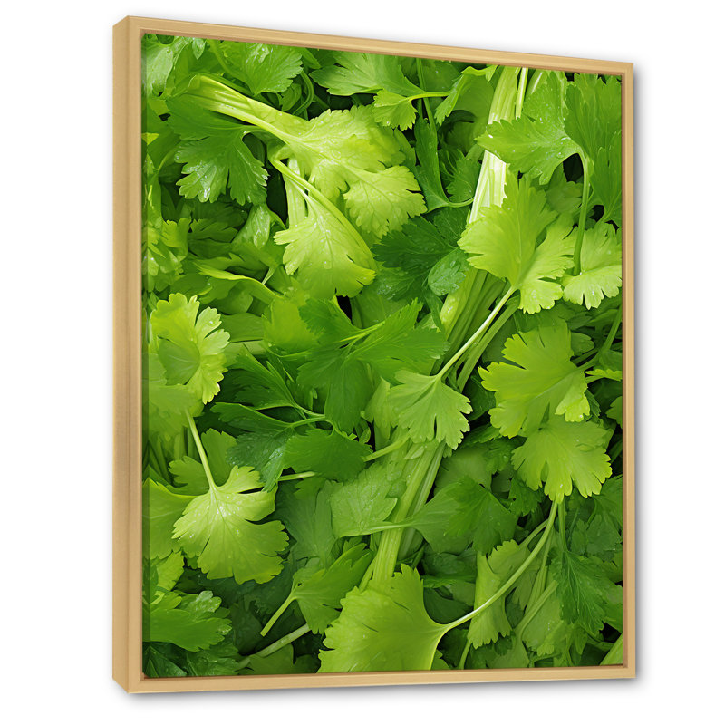 «Herbs Parsley Dance 2 - Floral Herbs», art mural, Cadre flottant brun, H 32 po x l 24 po