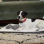 Polyester Pet Bed-70771805