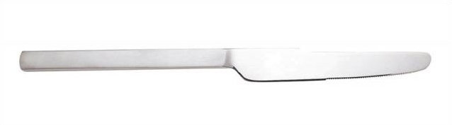 Dry Stainless Steel Dinner Knife