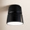 Logan Empire Outdoor Flush Mount