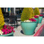 Pot de fleurs extra large en céramique émaillée, style aquarium - Intérieur/Extérieur-1583461190-1583461191