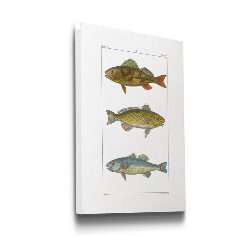 Reproduction d’art sur toile tendue « Hot Fish I », H 20 po x l 16 po x P 1 po